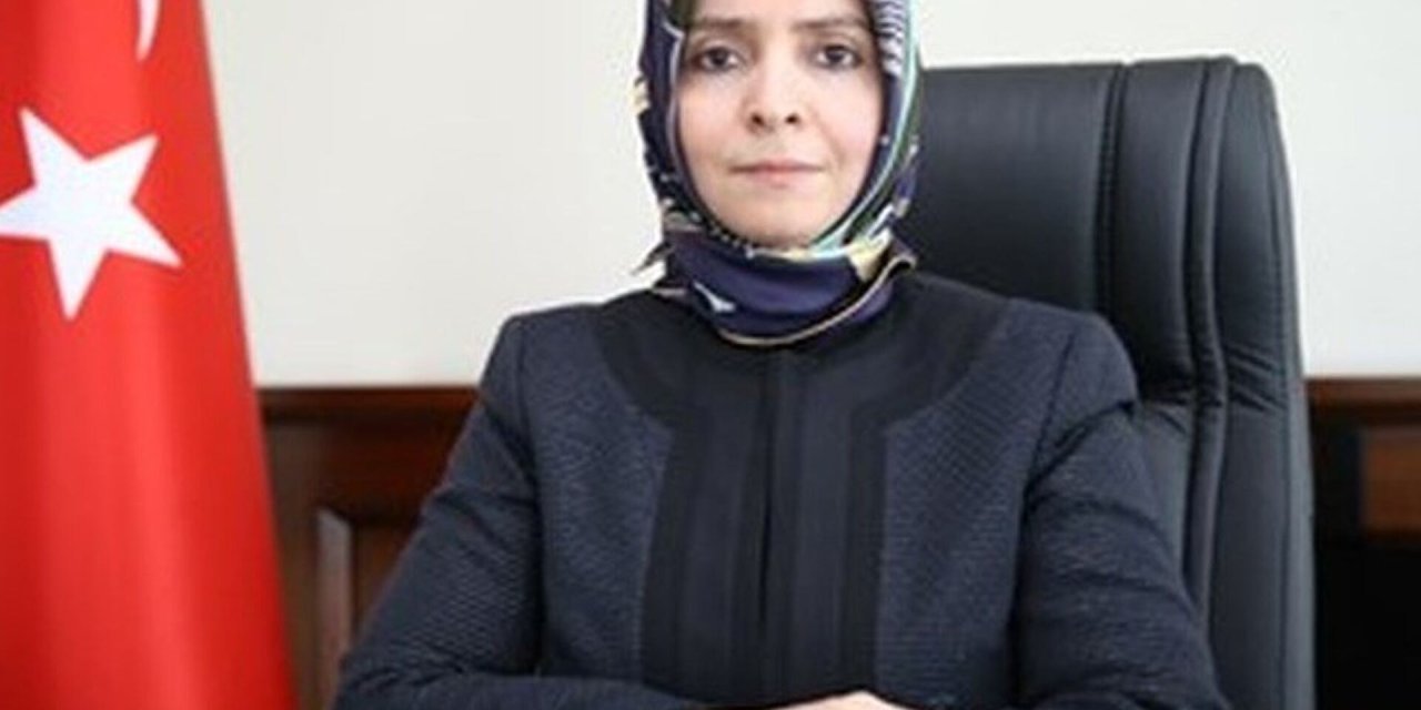 Dışişleri BTK’ya kardeş Sayan atandı