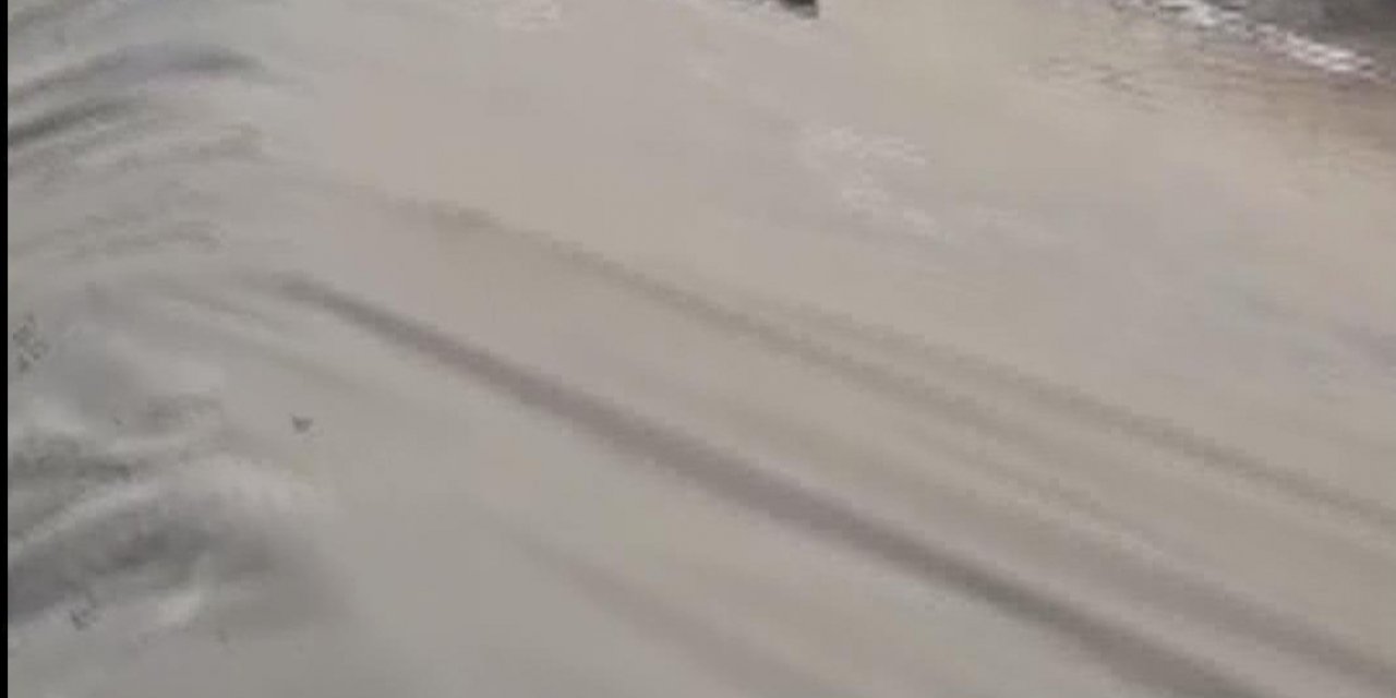 Havuzu düşen kardeşini kurtardı, kendisi ve arkadaşı boğuldu