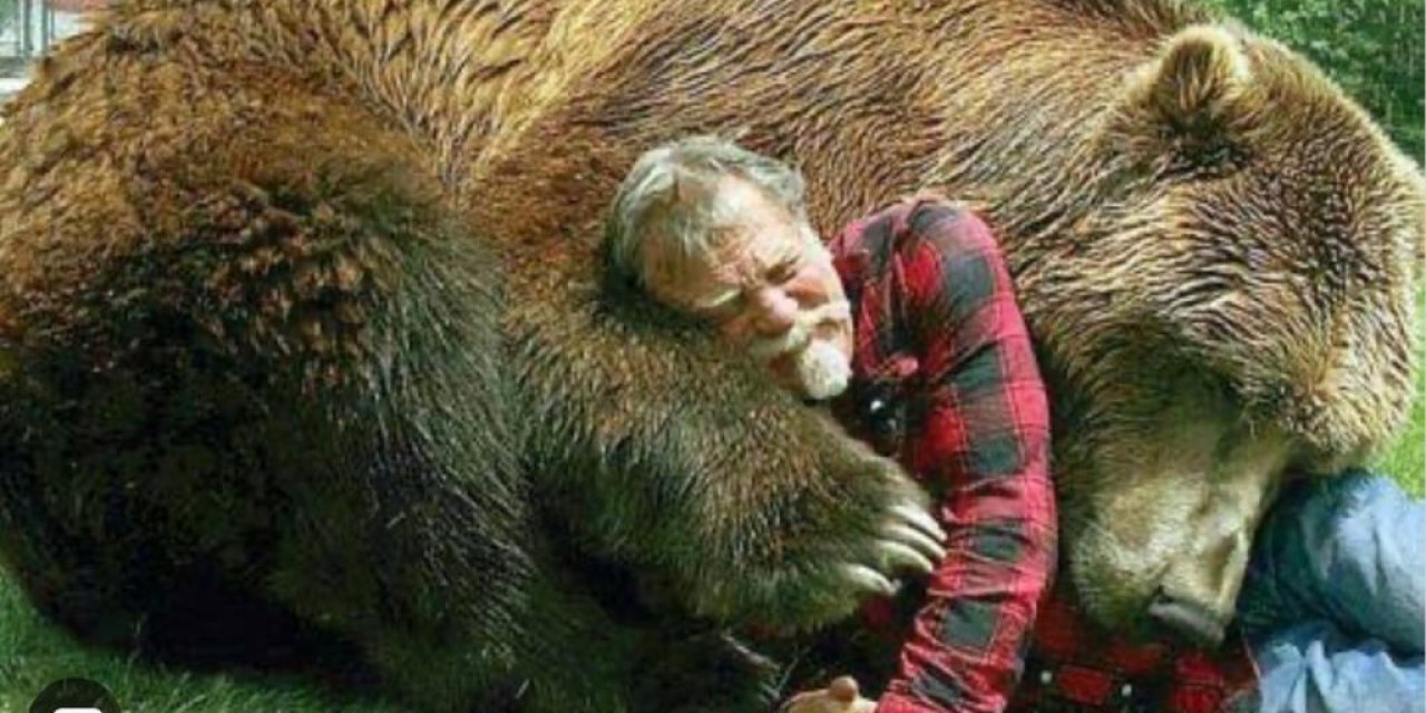 Ertuğrul Özkök yazdı: Bizi enkazın altından kış uykusuna yatmış bu ayı mı kurtaracak?