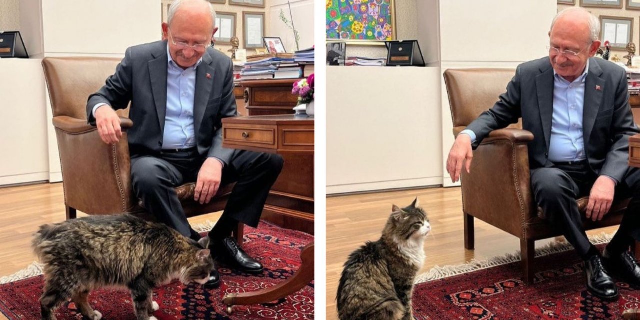 Kılıçdaroğlu'ndan hayvanseverleri sevindirecek paylaşım: 'Şero'ya söz verdim. Yaş mamayı lüks olmaktan çıkaracağım'