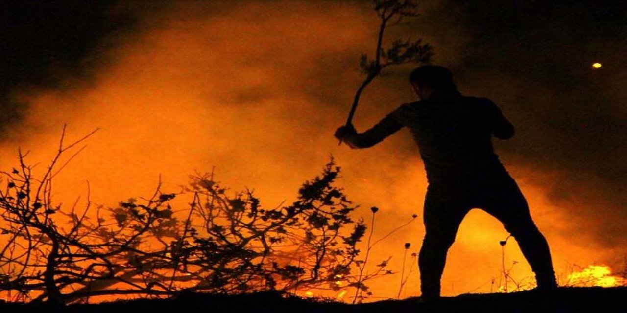 Örtü yangınları lodosla sıklaştı: 'Anız' uyarısı geldi