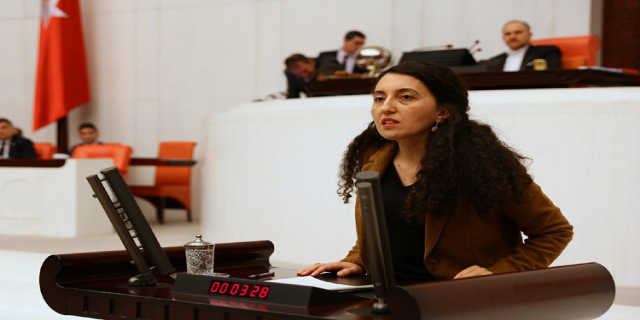 HDP Sözcüsü Ebru Günay, O reçeteyi bu defa siz ve yandaşlarınız içeceksiniz. Bu kriz sarayın krizidir, AKP-MHP iktidarının krizidir