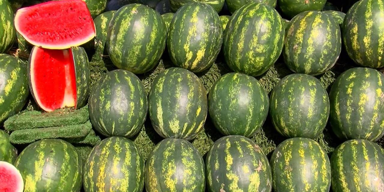 Karpuzun dilimi 50 lira!