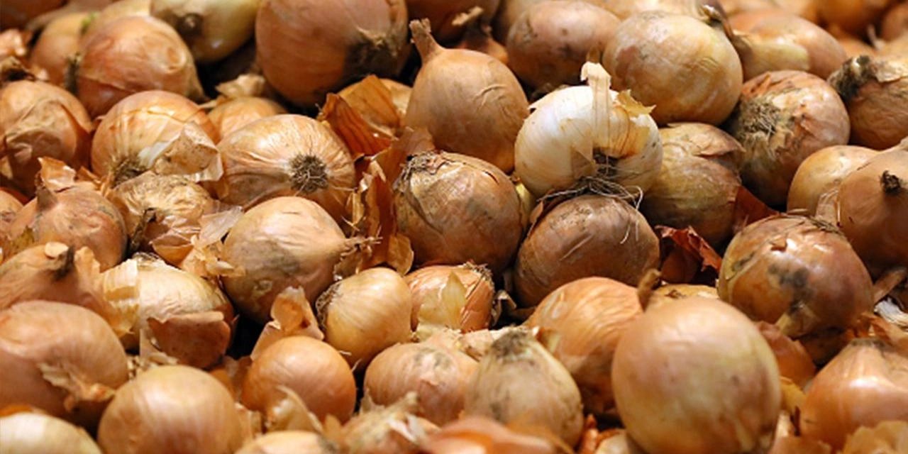 İstanbul'un zam şampiyonu soğan oldu