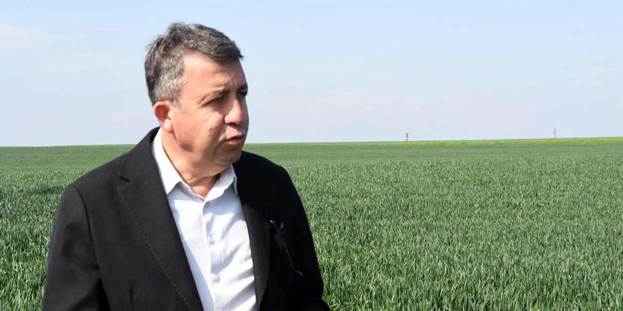 Prof. Dr. Orta: Son yağışlarla çiftçinin sıkıntısı son buldu... An itibariyla 'Karaçim otu tehlikesi var'