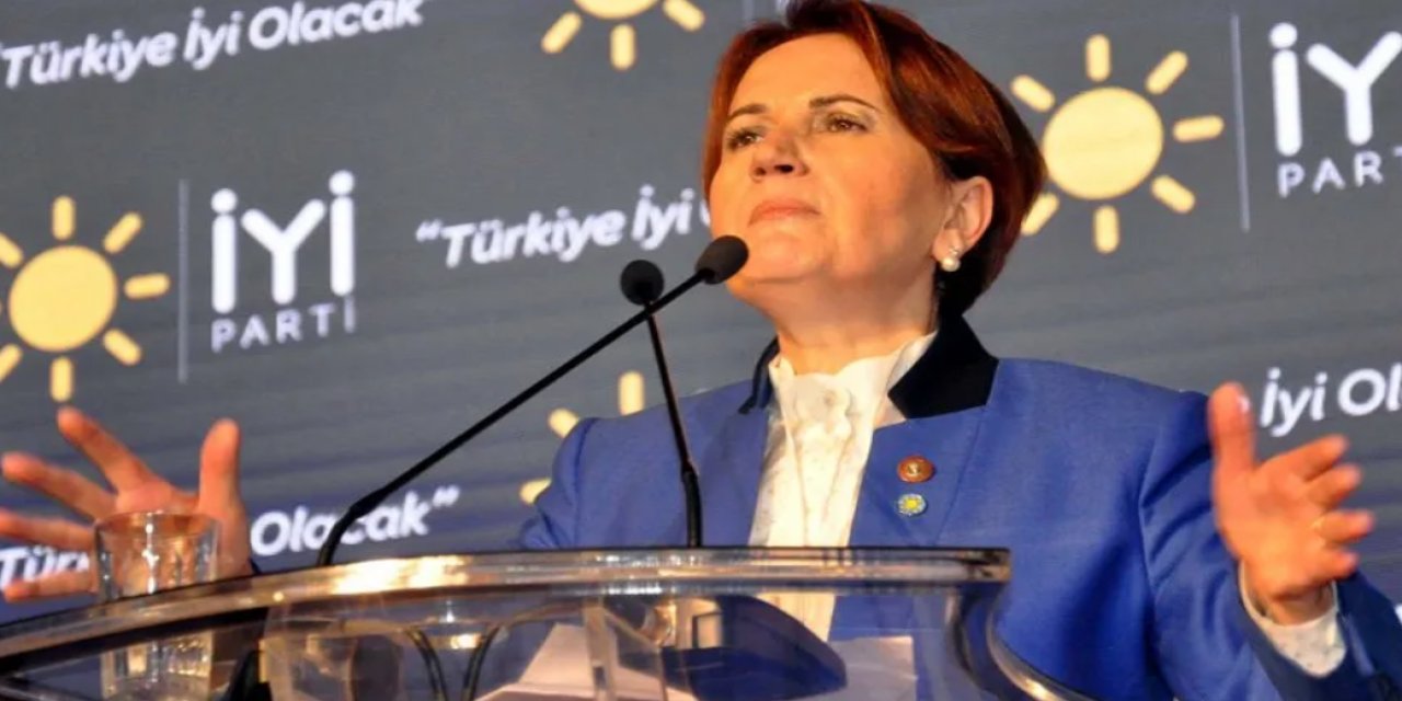 Akşener'den Erdoğan'a 'tür' tepkisi: Tür ne demek, biz hayvan mıyız, bitki miyiz?
