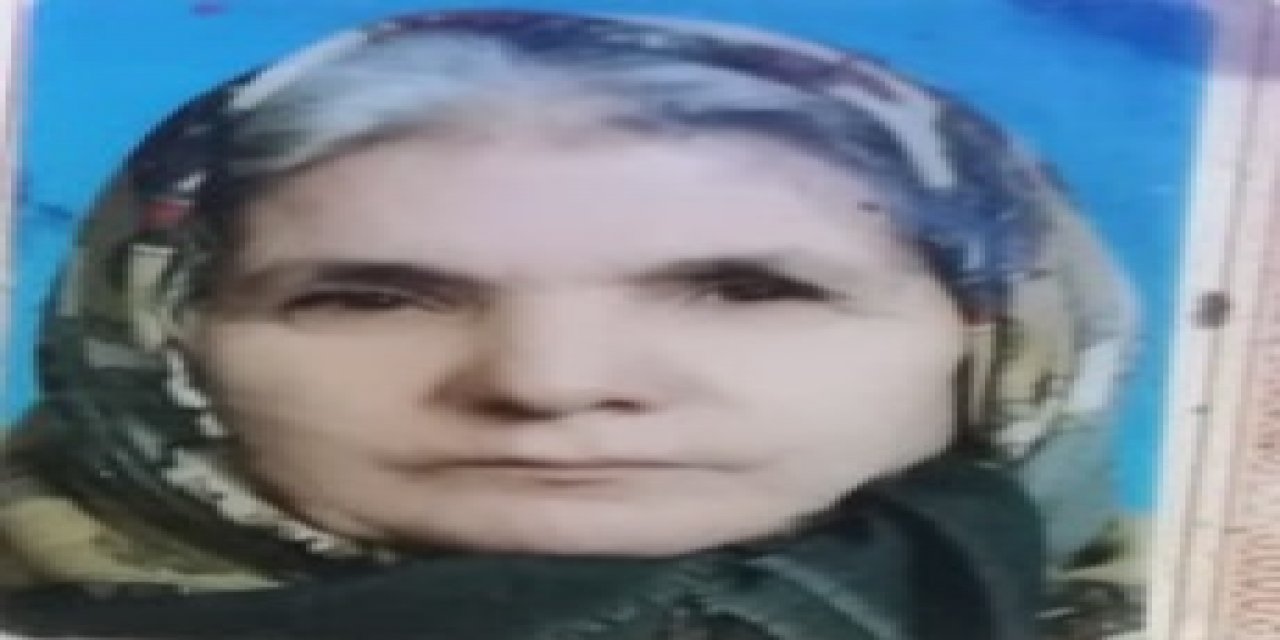 TIR'ın çarptığı kadın hayatını kaybetti