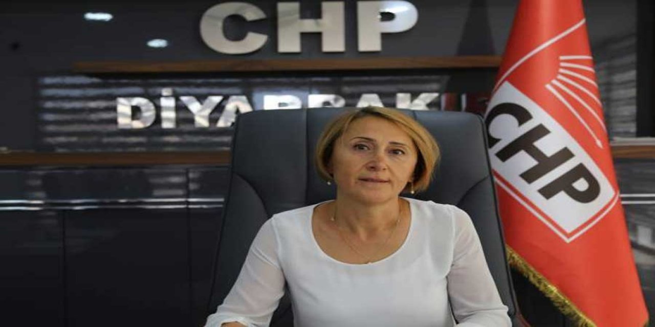 CHP Diyarbakır il başkanı hakkında cinsiyetçi imza kampanyası tepki yarattı