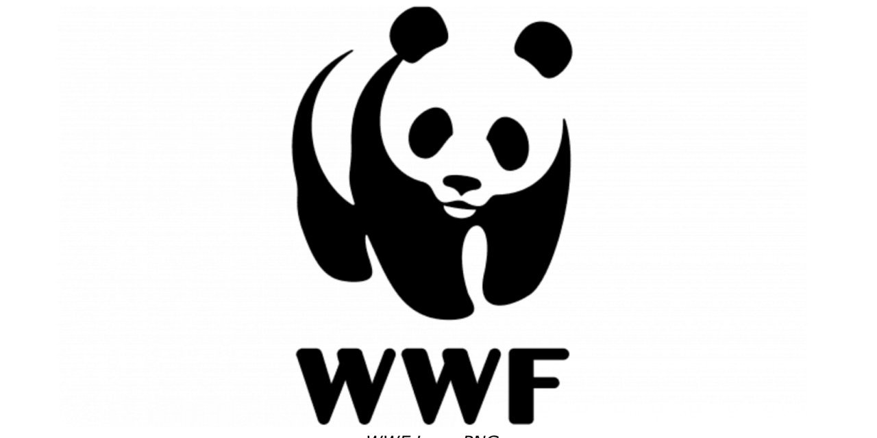 Rusya, Doğal Hayatı Koruma Vakfı'nı 'istenmeyen' kuruluş olarak nitelendirdi