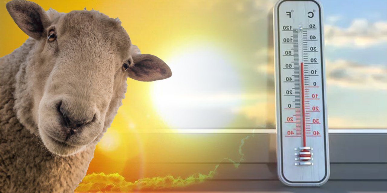 Kurban'da hava nasıl olacak? Meteoroloji'den Kurban Bayramı öncesi haftalık tahmin