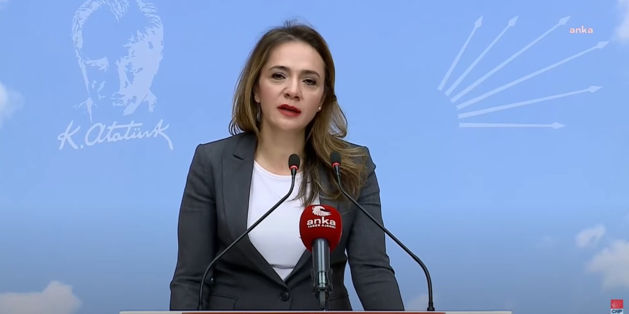 Gamze Akkuş İlgezdi’nin 'çocuk gebelik' raporu: 22 yılda 2 milyon 88 bin 925 kız çocuğu doğum yaptı