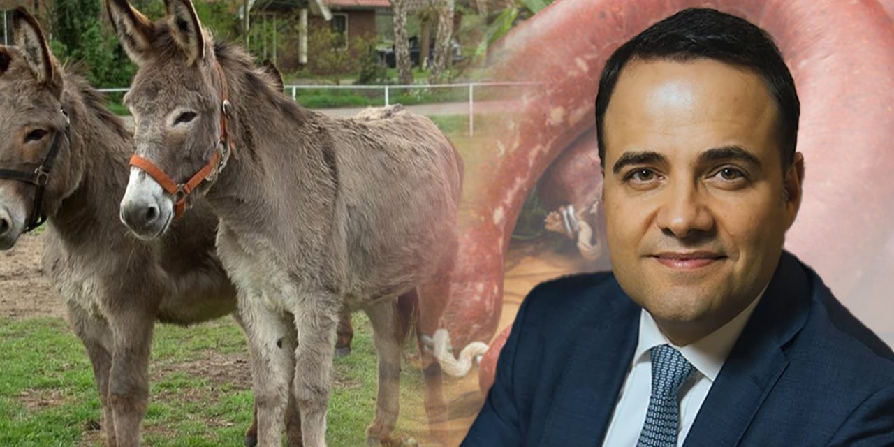 Özgür Demirtaş, Türkiye'deki eşeklerin sayısını paylaştı