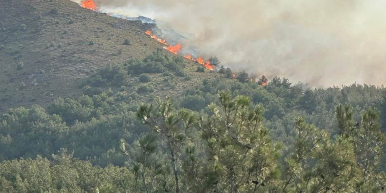 Hatay, Çanakkale ve Mersin'de yangın! Yerleşim yerlerini tehdit ediyor