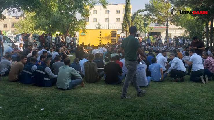 Şanlıurfa'da DEDAŞ İşçileri, İş Bıraktı! Grev Başlattı