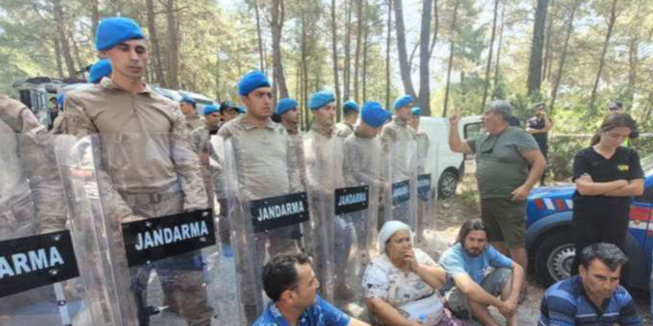 Avukat İsmail Hakkı Atal'dan 'Akbelen' açıklaması: Anayasal suç işliyorlar