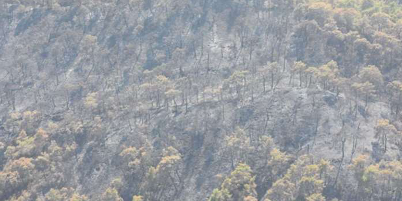 Kemer'deki yangında 1120 futbol sahası büyüklüğünde alan etkilendi