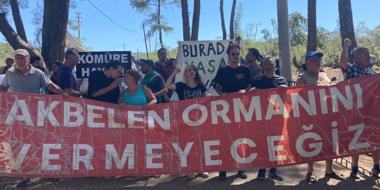 TİP'ten dünü, bugünü ve yarını ile Akbelen raporu