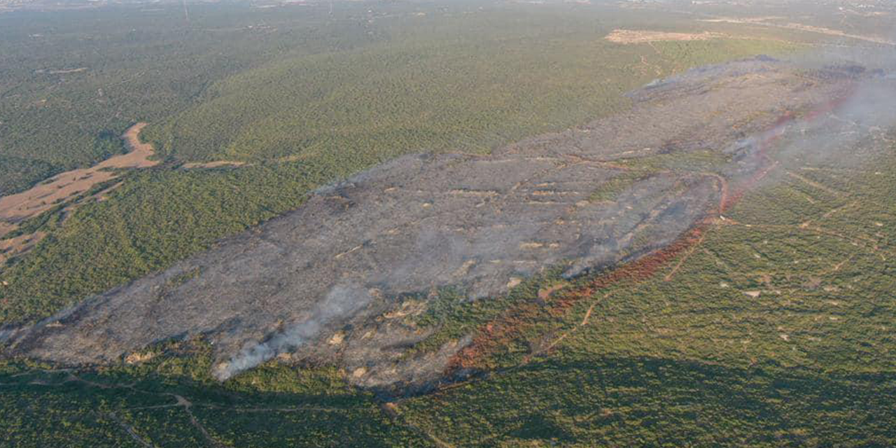 DİDİM’DE ÇIKAN YANGIN KONTROL ALTINA ALINDI
