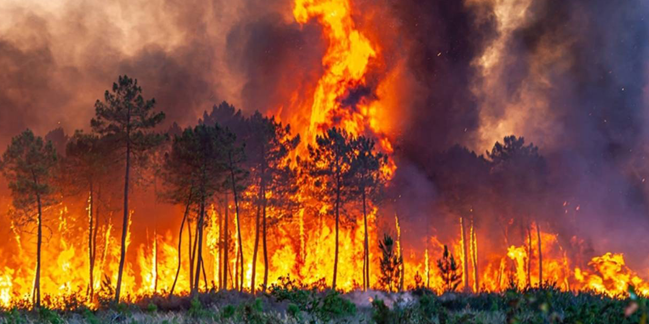 Ağustos'un ilk 9 gününde 175 hektar kül oldu