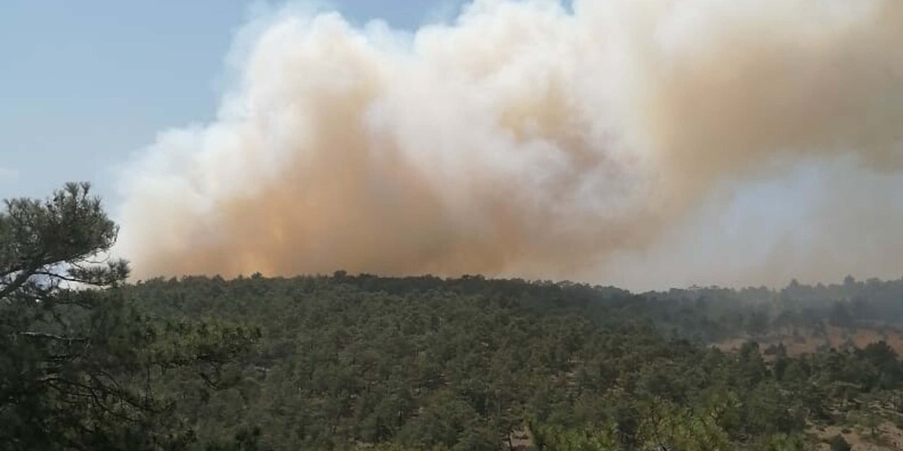 Denizli'de orman yangını