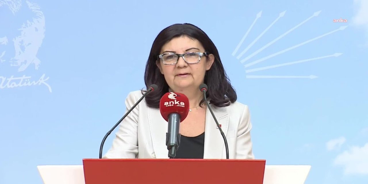 CHP'li Lale Karabıyık: 21 yıllık AKP iktidarında öğrenci sayısı artmasına rağmen eğitim bütçesinde artış yok