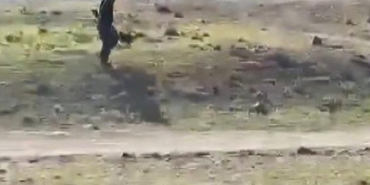 Arnavutköy'de leylekleri silahla vuran 2 kişi sınır dışı edilecek