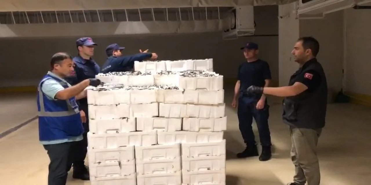 Boyları Tutmadı... 3 Tonuna El Koyuldu