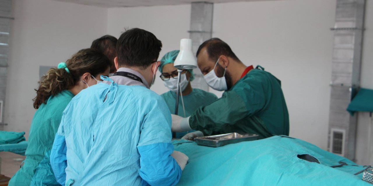 Prof. Dr. Albay: Türkiye'de kadavra temini güçleşti