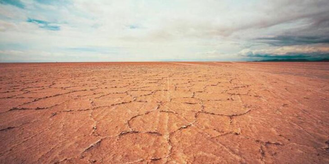 Bilgisayar simülasyonlu araştırma: Tüm memelilerin nesli tükenebilir