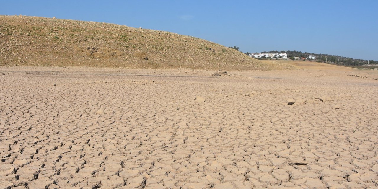 Bodrum için 'acil durum eylem planı' uyarısı: Bizi zor günler bekliyor, bu diğer uyarılardan farklı, su tamamen bitti