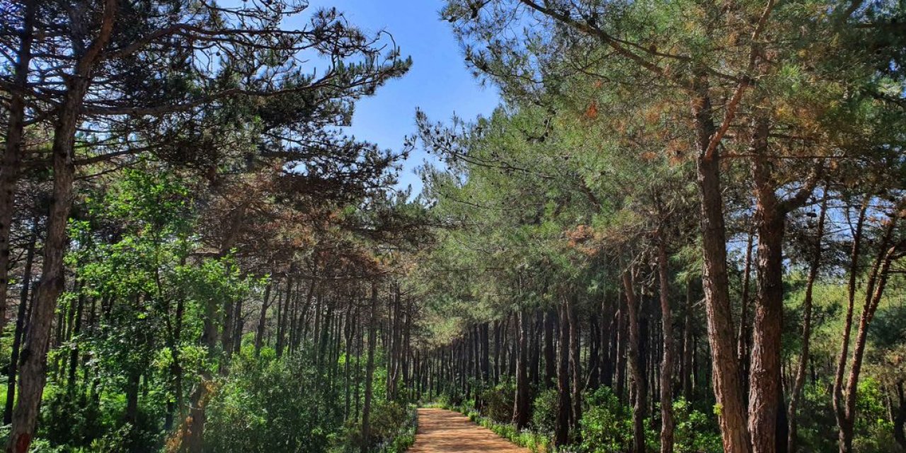 Atatürk Kent Ormanı 'otel projesi' riski ile karşı karşıya