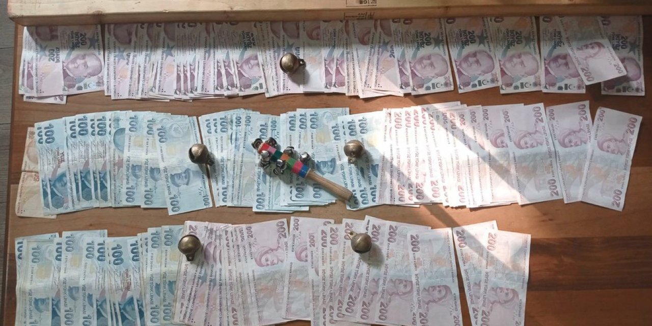 Köpek dövüşü bahis alanına baskın: 25 kişiye gözaltı, 1 Malaklı ırkı köpek kurtarıldı