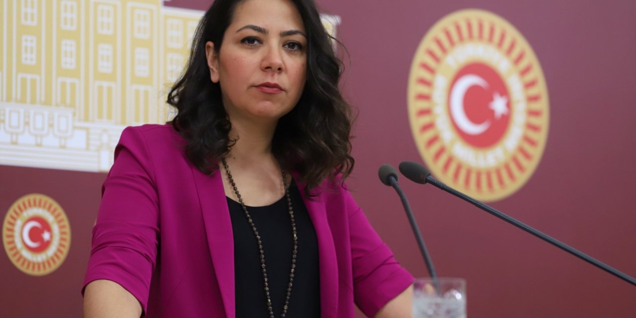 TİP Milletvekili Sera Kadıgil: Saray rejimi yüzünden bir sınıf kırımı yaşanıyor