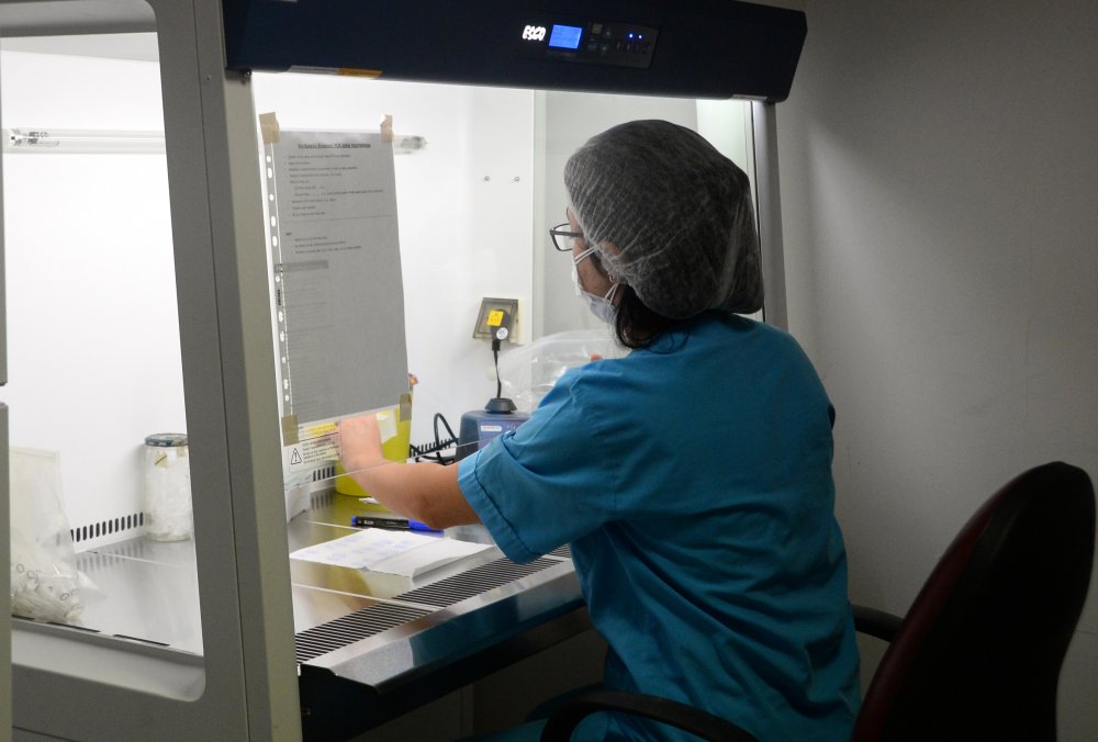 Bu laboratuvarda koronavirüs testi sonuçlarının kesinlik oranı yüzde 100