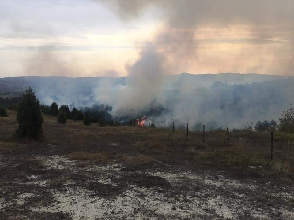 Kandıra'da orman yangını  söndürüldü.