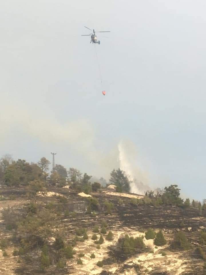 Kandıra'da orman yangını  söndürüldü.