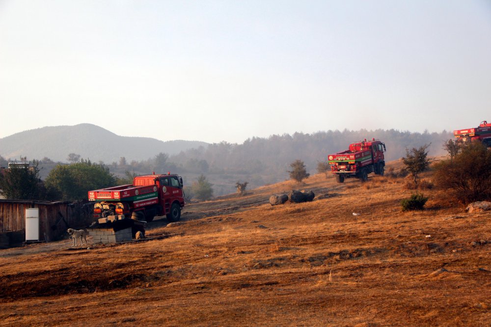 Bolu'da orman yangını kontrol altına alındı; 40 hektar zarar gördü