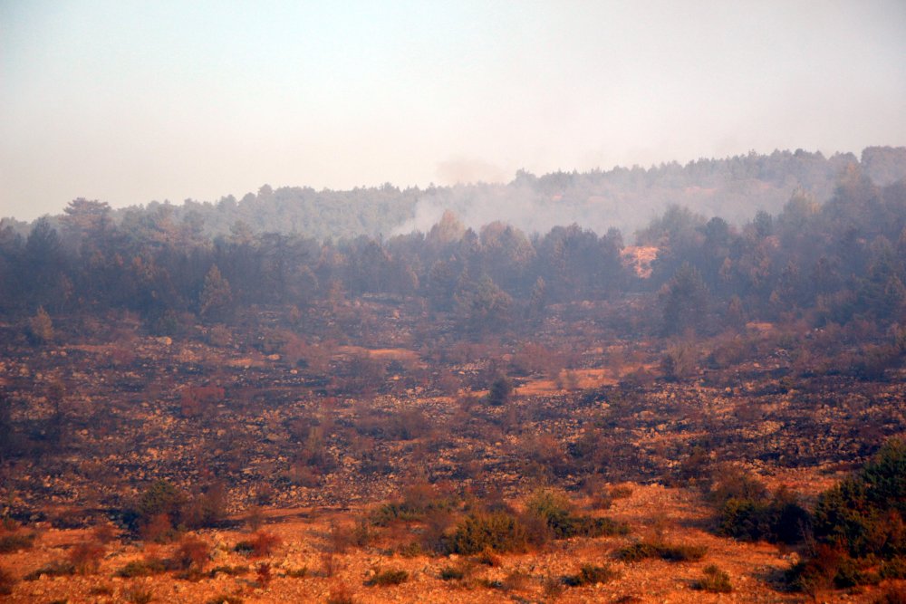 Bolu'da orman yangını kontrol altına alındı; 40 hektar zarar gördü