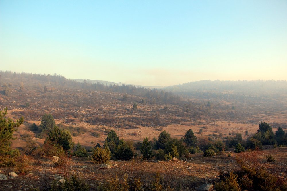Bolu'da orman yangını kontrol altına alındı; 40 hektar zarar gördü