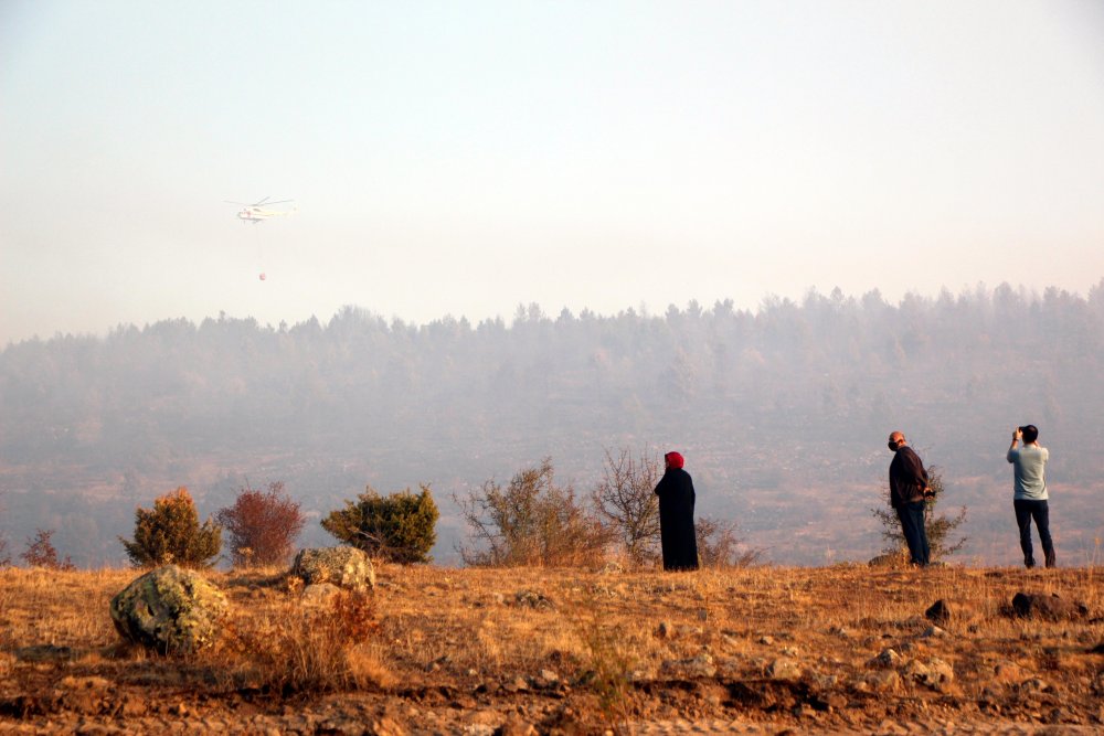 Bolu'da orman yangını kontrol altına alındı; 40 hektar zarar gördü