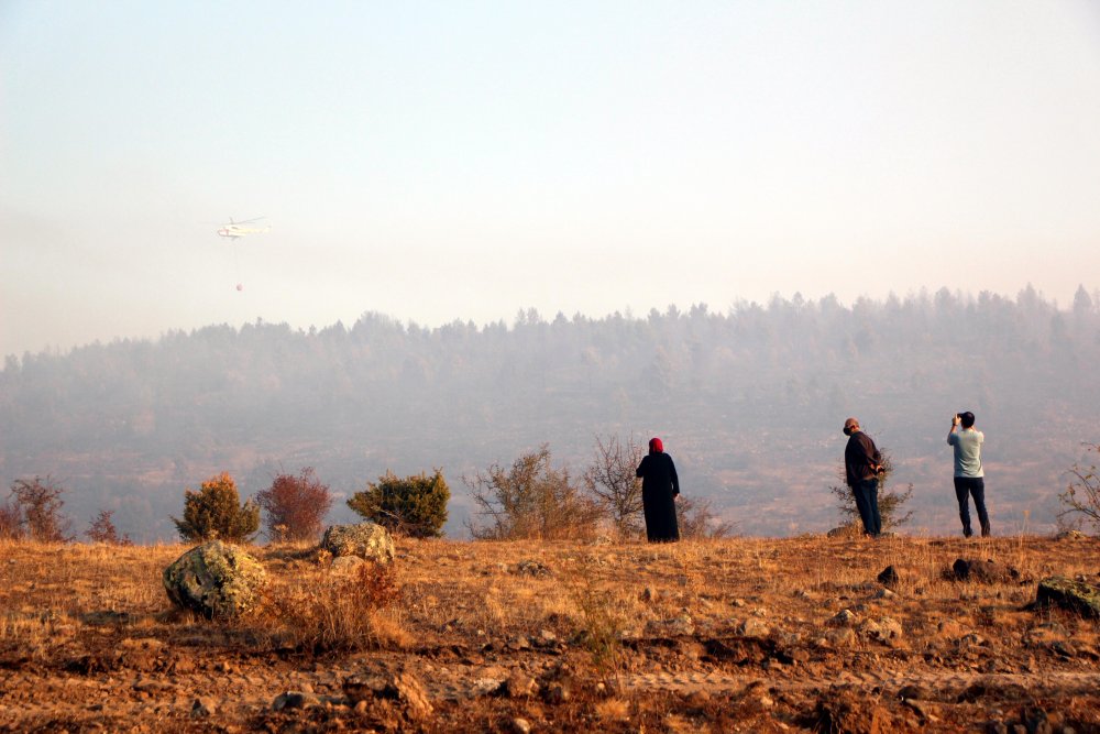 Bolu'da orman yangını kontrol altına alındı; 40 hektar zarar gördü