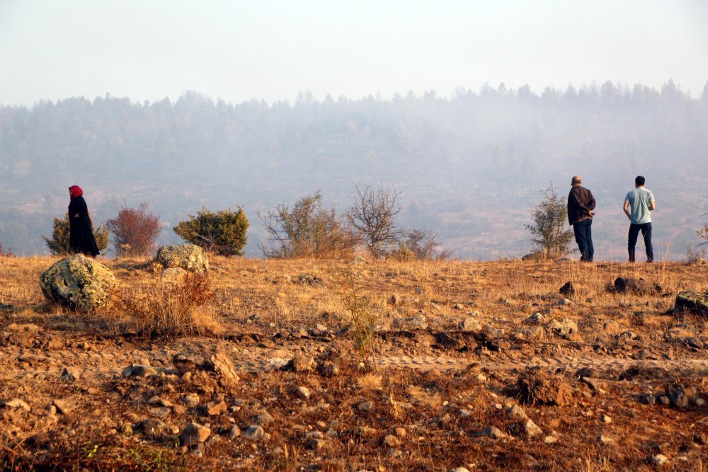 Bolu'da orman yangını kontrol altına alındı; 40 hektar zarar gördü