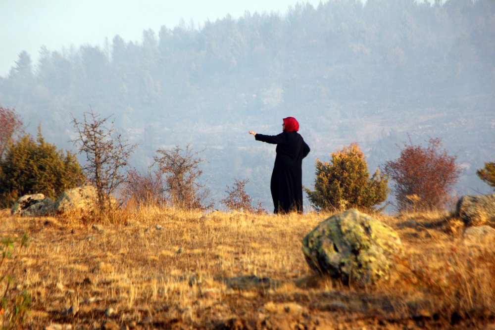 Bolu'da orman yangını kontrol altına alındı; 40 hektar zarar gördü