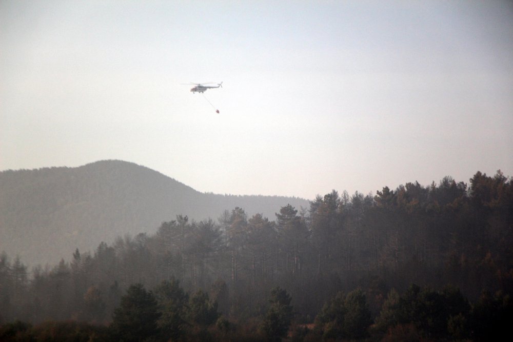 Bolu'da orman yangını kontrol altına alındı; 40 hektar zarar gördü