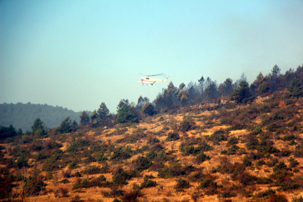 Bolu'da orman yangını kontrol altına alındı; 40 hektar zarar gördü