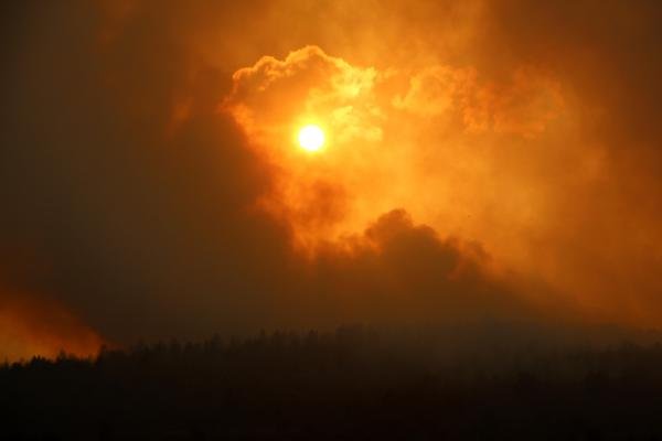 Bolu'da orman yangını kontrol altına alındı; 40 hektar zarar gördü