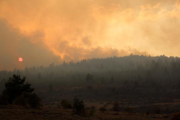 Bolu'da orman yangını kontrol altına alındı; 40 hektar zarar gördü