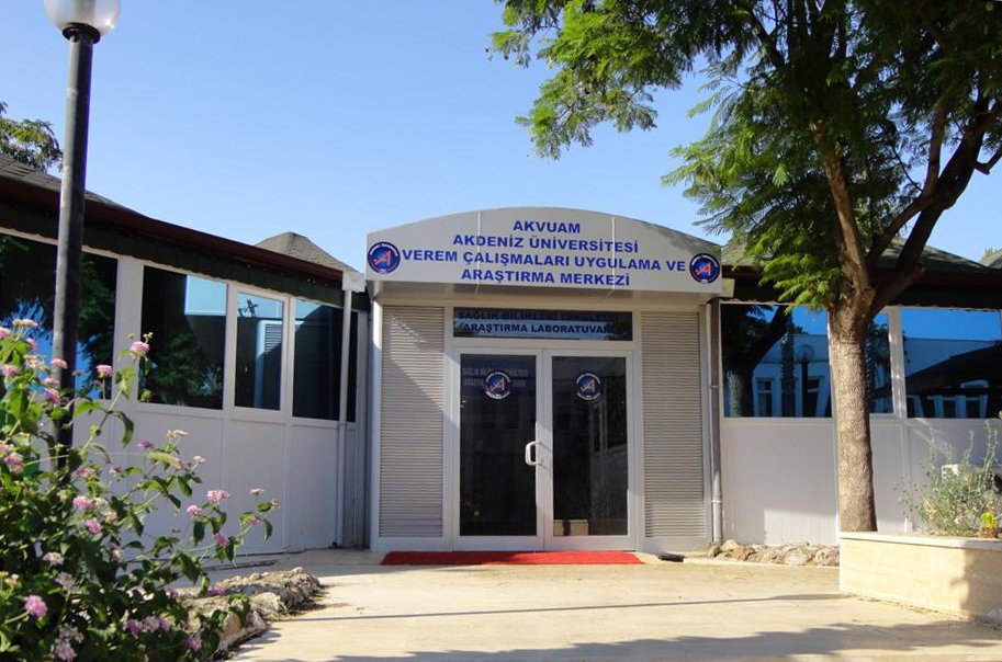 AÜ'den tüberkülozun erken teşhisinde önemli buluş