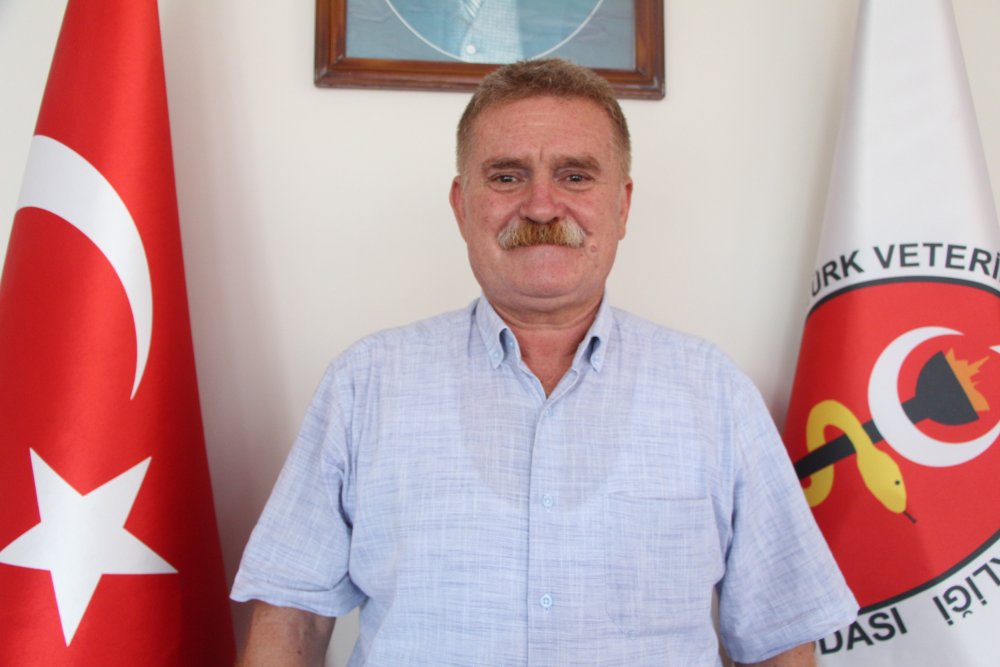 'Sokak hayvanlarını aşılayamazsak insan sağlığını koruyamayız'