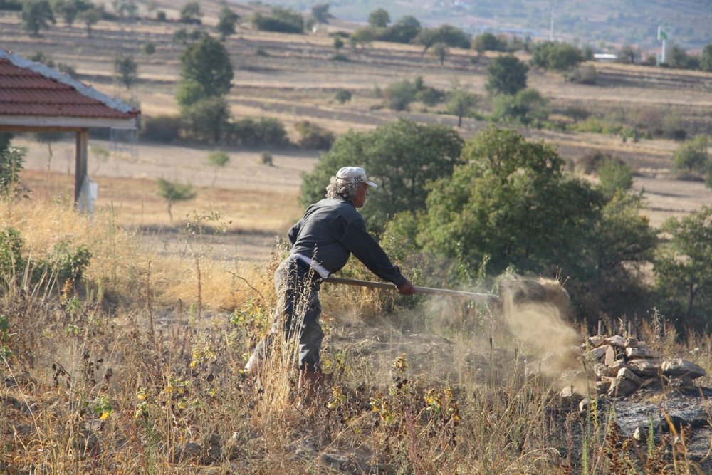 Manisa'da ormanlık alanda yangın